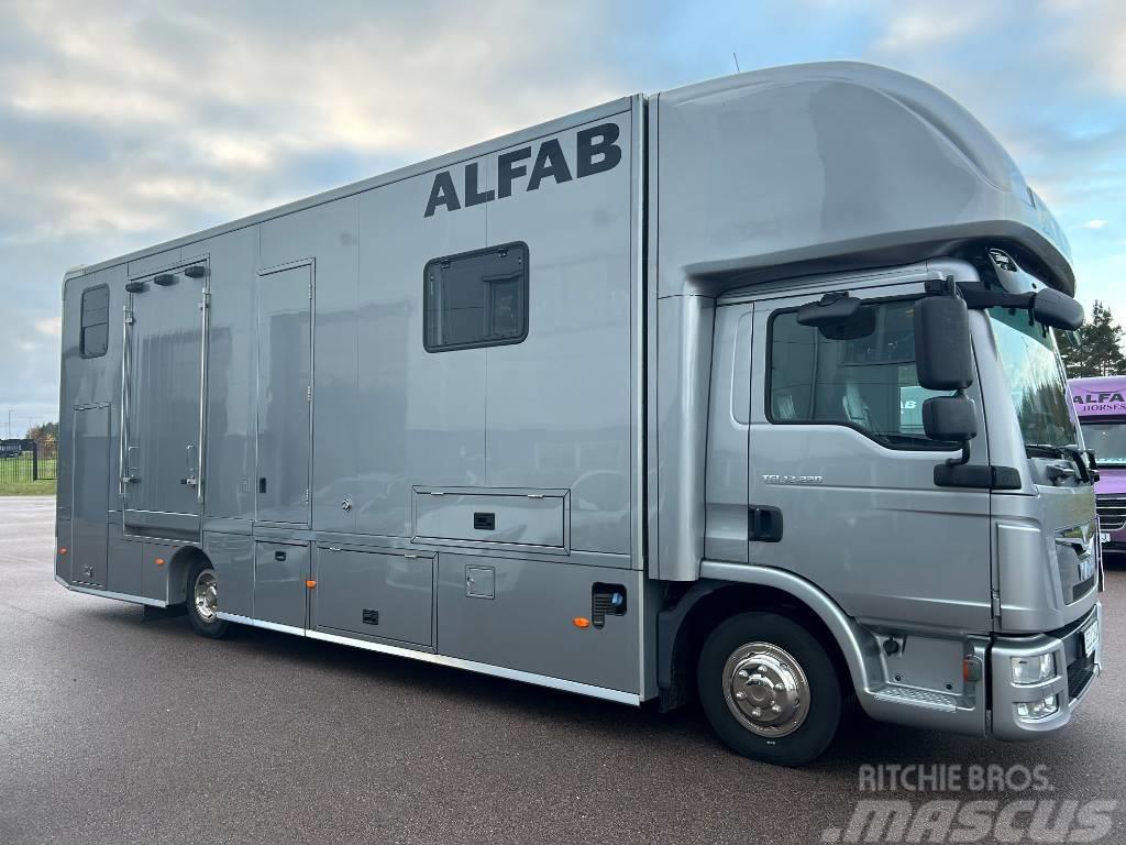 MAN ALFAB Comfort hästlastbil Animal transport trucks
