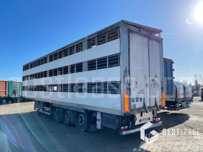 Samro ST39WG Animal transport semi-trailers