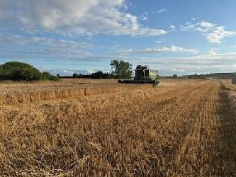 Fendt 6335 C