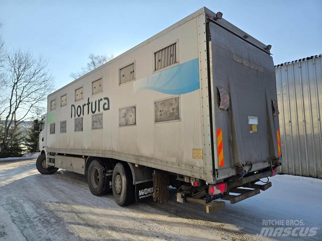 Scania G440 Animal transport trucks