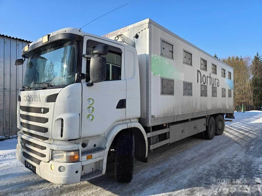 Scania G440 Animal transport trucks