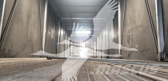 Reitnouer BIG BUBBA Curtainsider semi-trailers