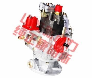 Cummins fuel pump Transportation - Others