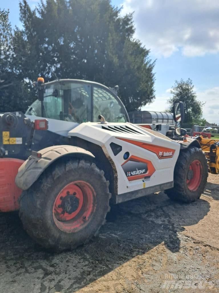 Bobcat TL 43.80 HF Telehandlers for agriculture