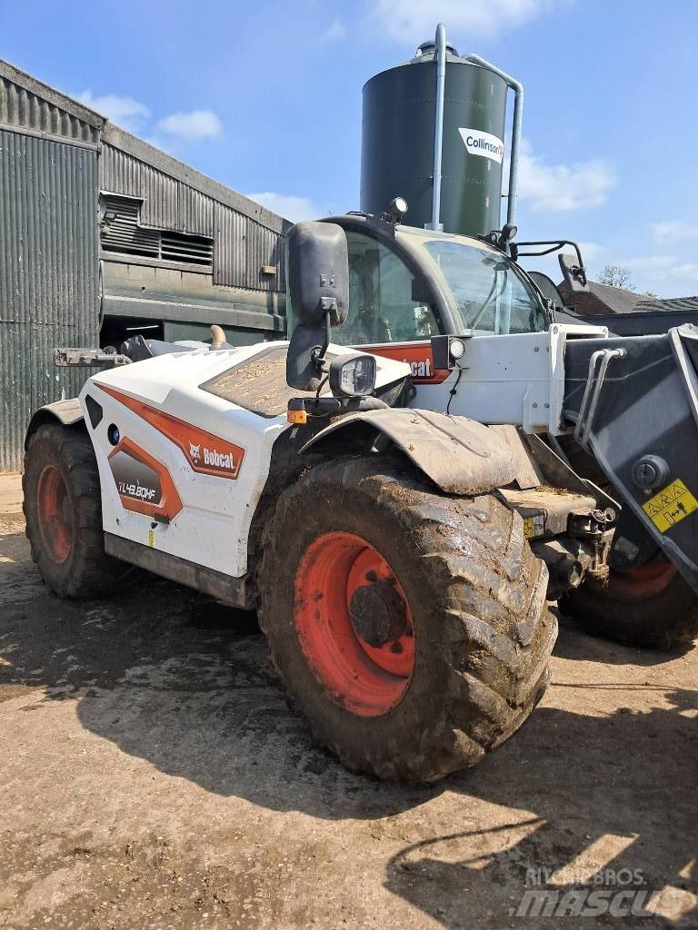 Bobcat TL 43.80 HF Telehandlers for agriculture