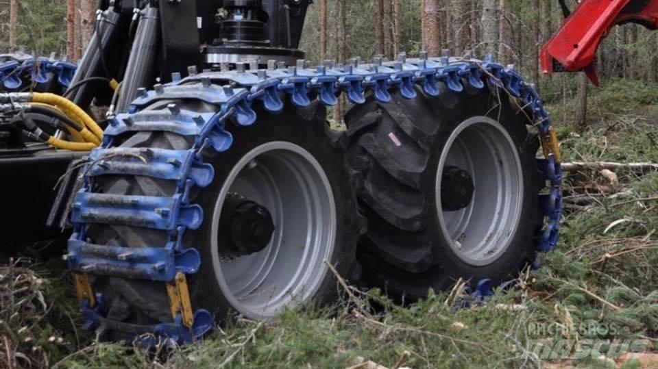  LINTEXON LENTA Forestry - Others