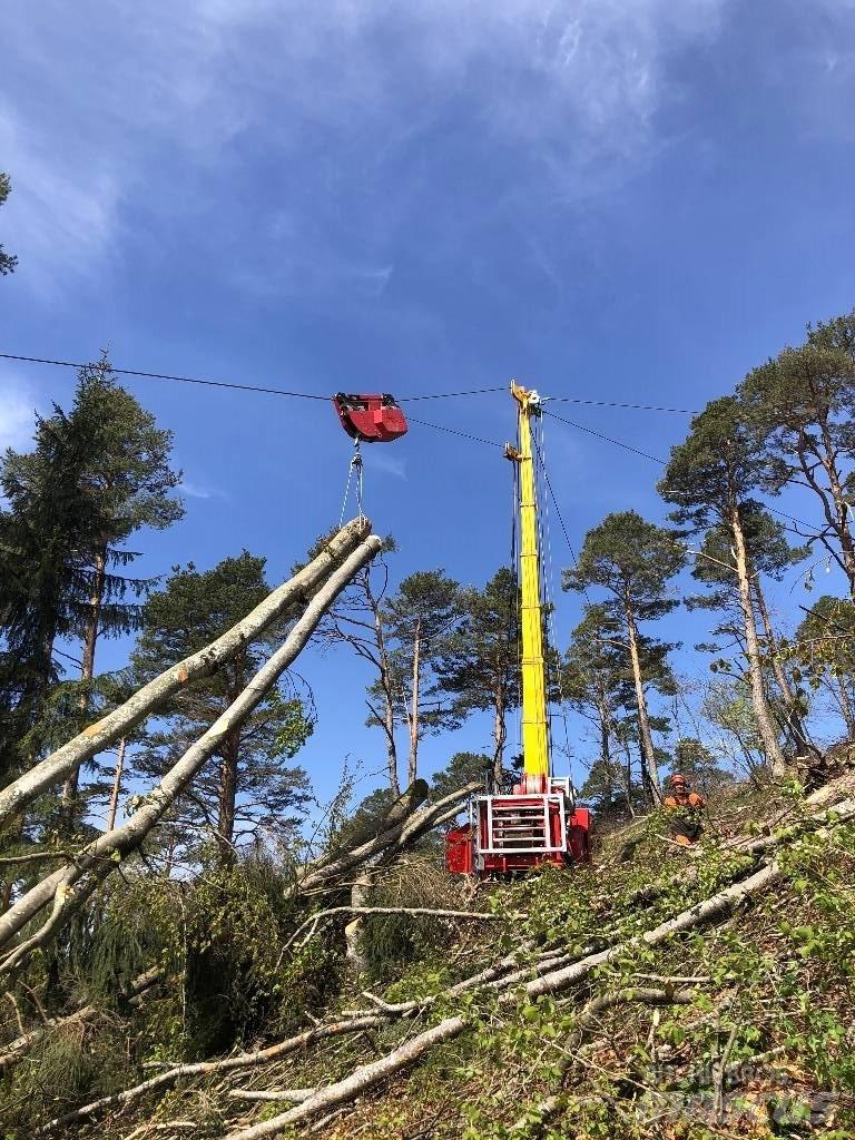 Valentini V 600 Forestry - Others