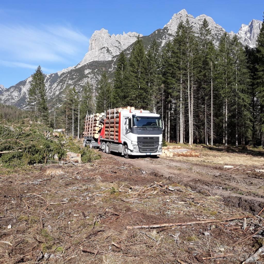 Volvo Truck Forest trailers