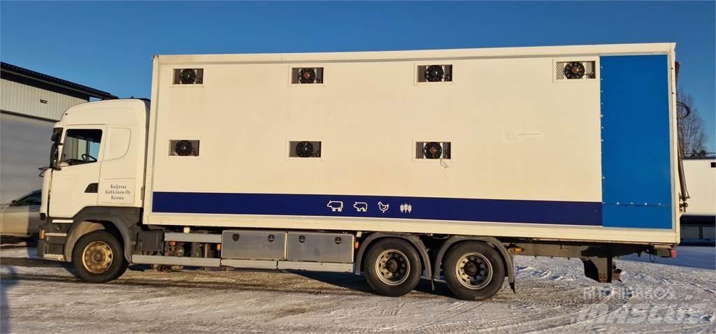 Scania R450 Animal transport trucks