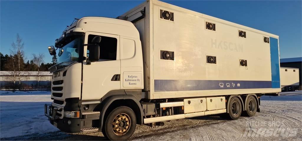 Scania R450 Animal transport trucks