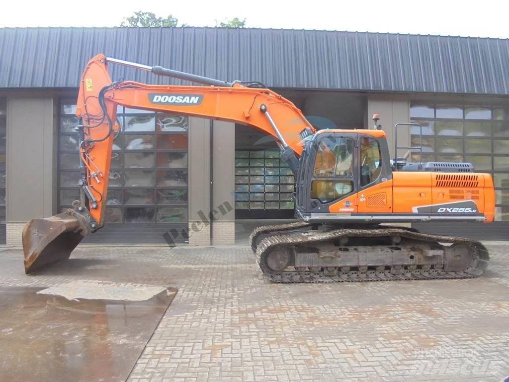 Doosan DX 255 LC-5 Crawler excavators