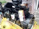Cummins 6BTA5.9-C125 Engines