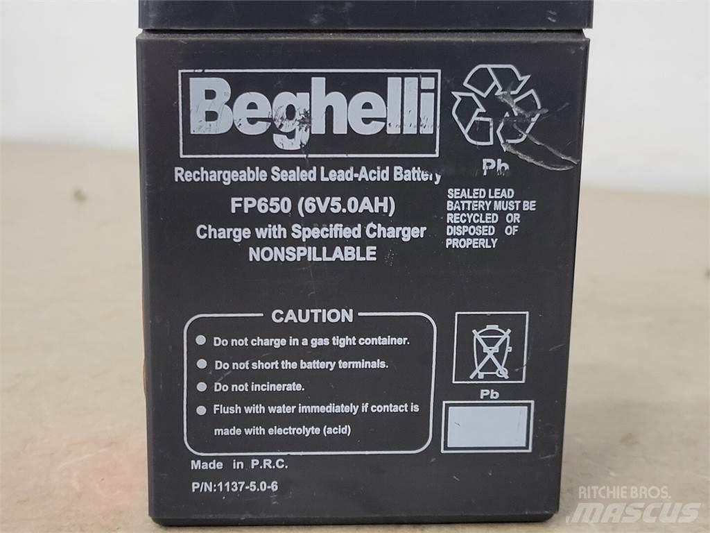  BEGHELLI FP650 Batteries