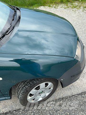 Skoda Fabia Panel vans