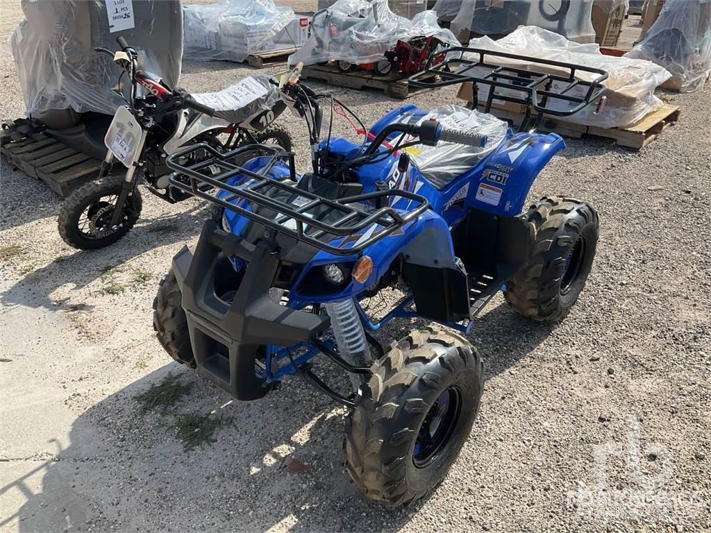  TAO T125 ATVs