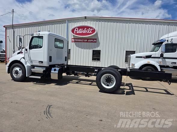 Peterbilt 536 Chassis Cab trucks