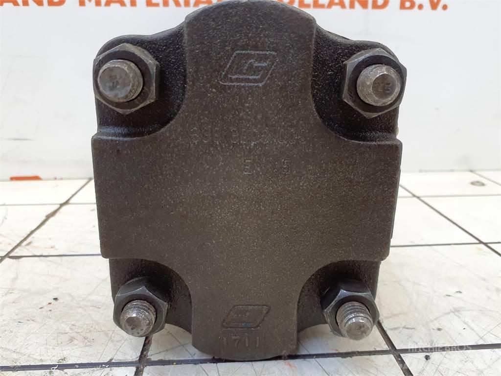  CT2 Dual gear pump Crane parts and equipment