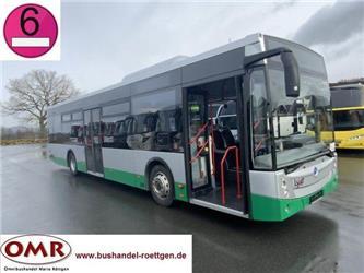 Temsa Avenue LF/ Euro 6/ 530/ Citaro/ A 20/A 21/Urbino