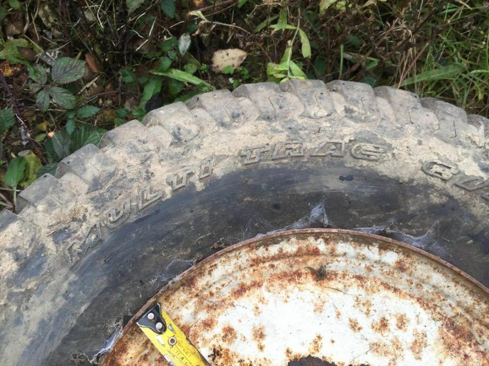  Goldini Tractor Tyre and Wheel Other