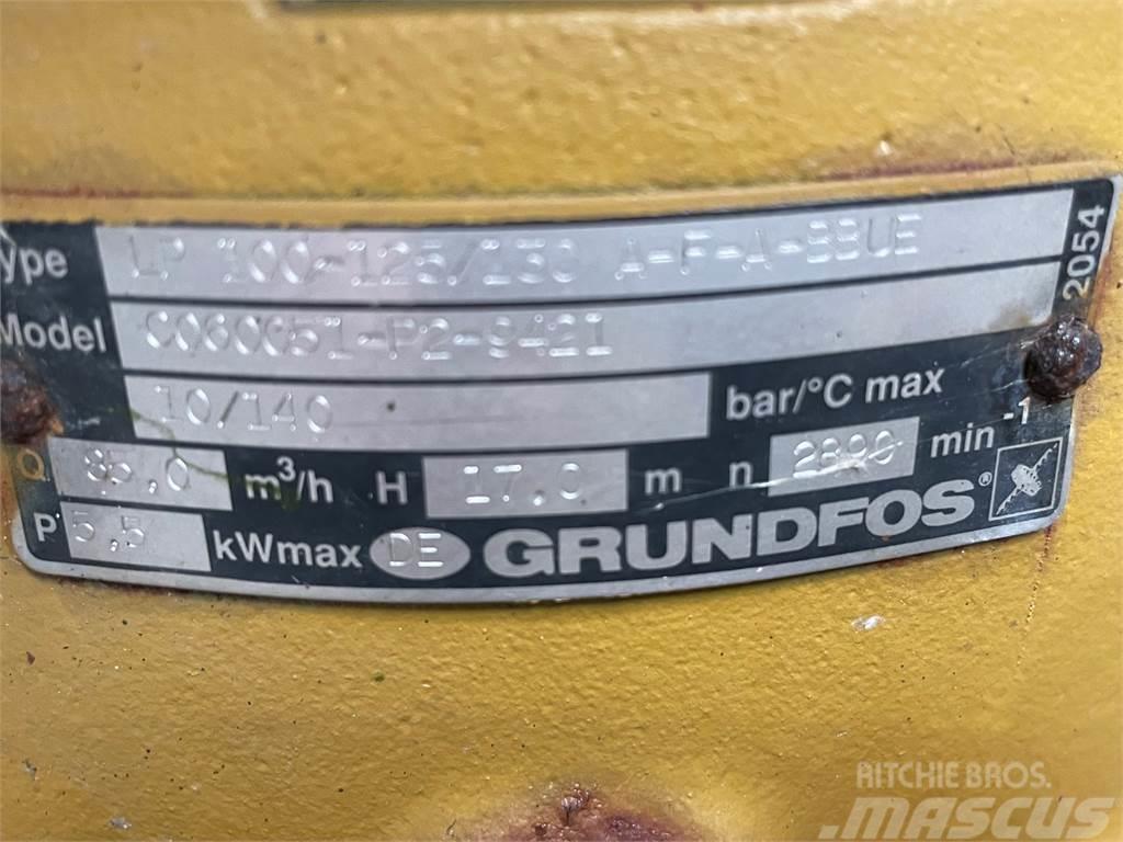 Grundfos type LP 100-125/130 A-F-A-BBUE pumpe Waterpumps