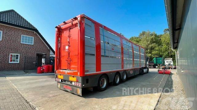  Finkl SAV 35 *Unfallschaden* Animal transport semi-trailers