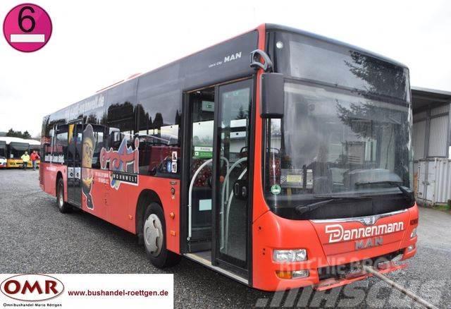 MAN A 21 Lion&apos;s City / A 20 / O 530 Citaro Intercity buses