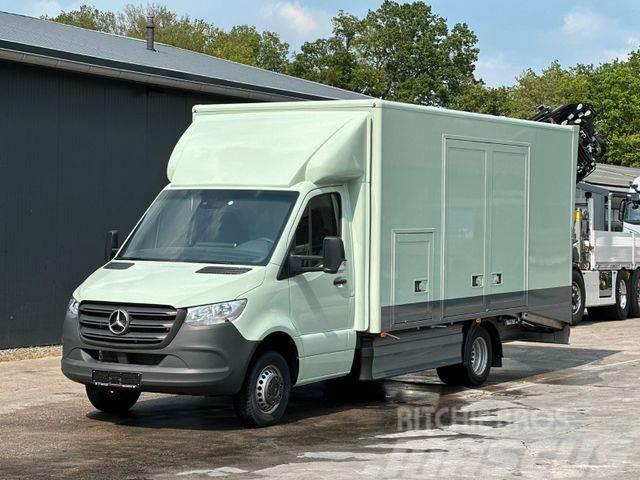 Mercedes-Benz Sprinter 519 CDI CAZOO Sportwagentransporter Vehicle transporters